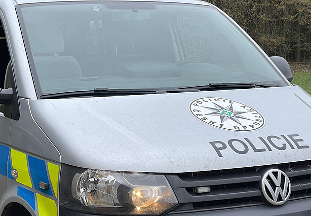 Policie vypátrala nebezpečného muže, který vyskočil z okna a utekl z Bohnic