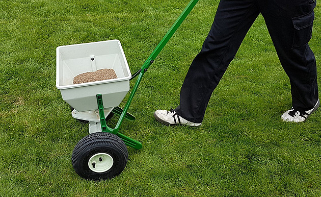 Konec plísním a holým flekům. Odborník radí, jak trávník posílit před zimou