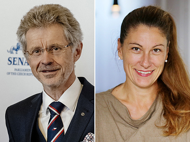 Dvě delegace míří do Vietnamu. Decroix stihne konferenci, Vystrčil veze obchodníky