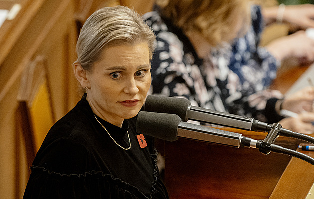 Zveřejnění Rajchlova intimního videa je nelegální, tvrdí Malá. Zdechovský chce rezignaci