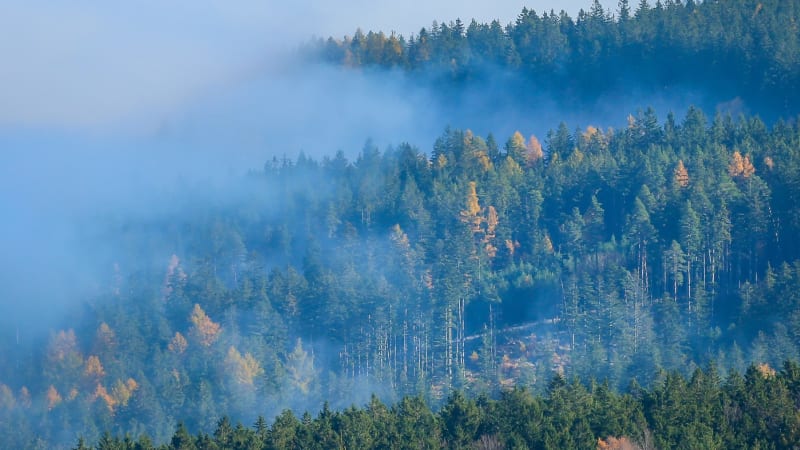 Sledujte RADAR: Počasí nic moc. V týdnu inverze, o víkendu se ochladí a bude pršet