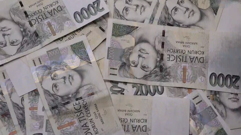 Majetky poslanců: Turek má miliony v autech, Pikora dluží Šichtařové 818 tisíc na výživném