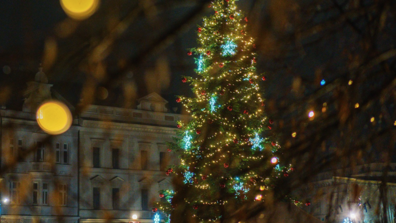 Mělnický Ježíšek myslí na přírodu: Vánoce přináší strom z místní zahrady