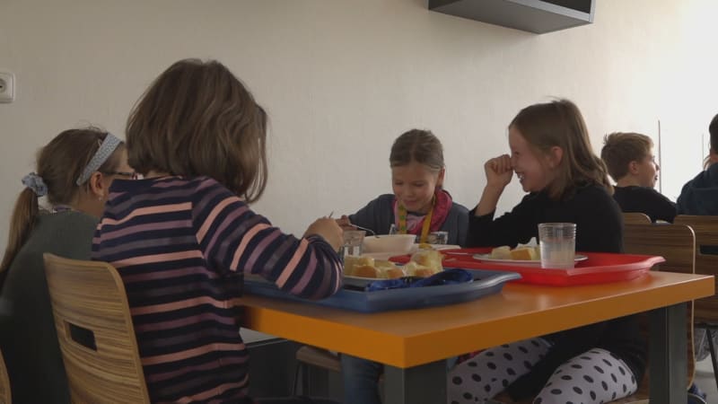 Zastánci nového školního stravování vytáhli do boje: Varují před tlakem lobbingu, sepsali výzvu