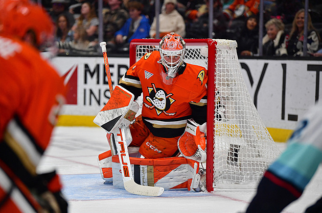 Dostál s Vladařem v NHL slavili výhry, Palát asistoval za Islanders