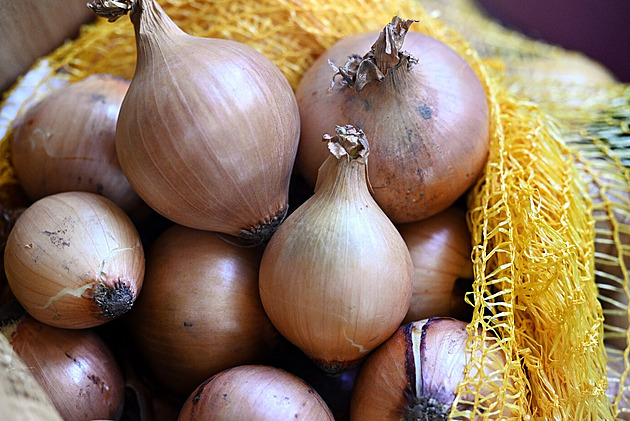 Jak dlouho vydrží cibule? Při správném skladování nečekaně dlouho