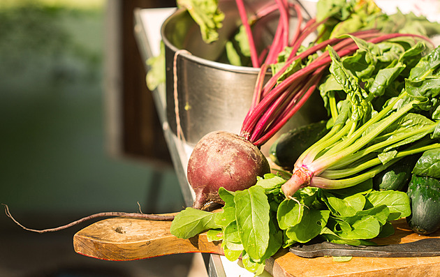 Jednou a dost! Tato jídla znovu neohřívejte, toxiny či karcinogeny nechcete