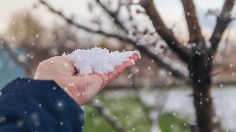 RADAR: Jaro v nedohlednu, udeří lijáky i sněhové krupky. Podívejte se, jak bude u vás