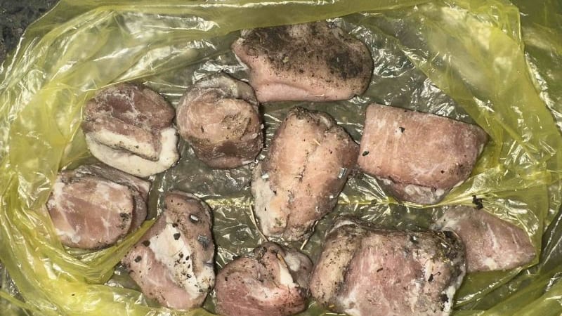 Zákeřný útok na psy v Praze: Kdosi v ulicích rozhazuje maso s nastraženými hřebíky