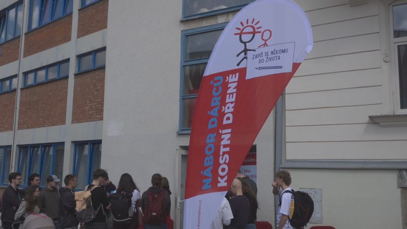 Hledá se dárce pro Elenu z Jihlavy. Poslední nadějí 23leté dívky je vhodný dárce kostní dřeně