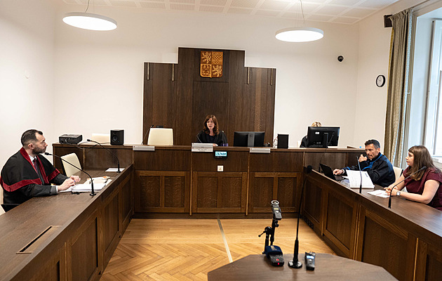 SPD u soudu odmítlo vinu za předvolební plakáty. Vyjadřovaly politický názor, tvrdí