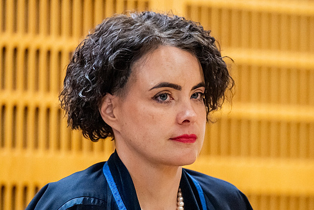 „Úzkoprsý formalismus.“ Ústavní soud potvrdil advokátce Hrdé větší odměnu