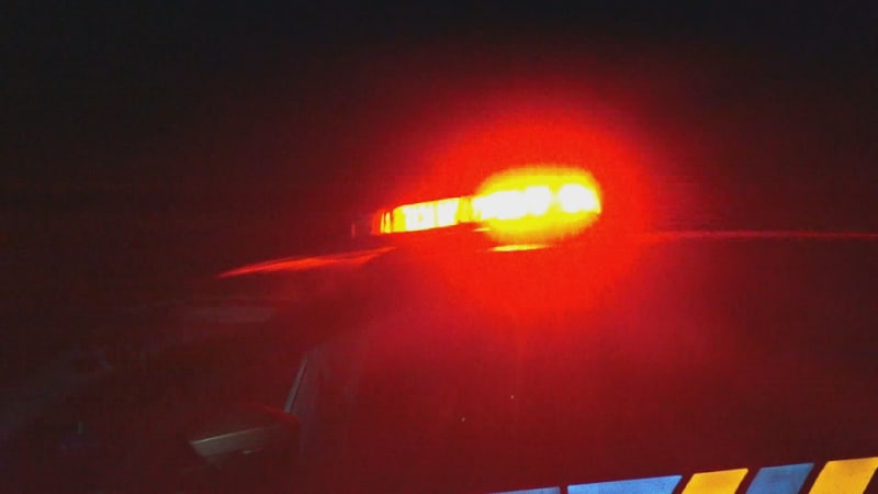 Auto na Zlínsku vletělo do stromu: Jeden člověk zemřel, další čtyři se zranili