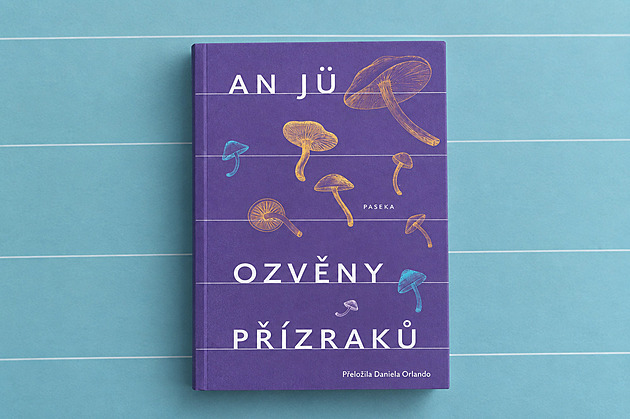 RECENZE: Trochu podivný, trochu snivý. V románu An Jü ožívají nenaplněné sny